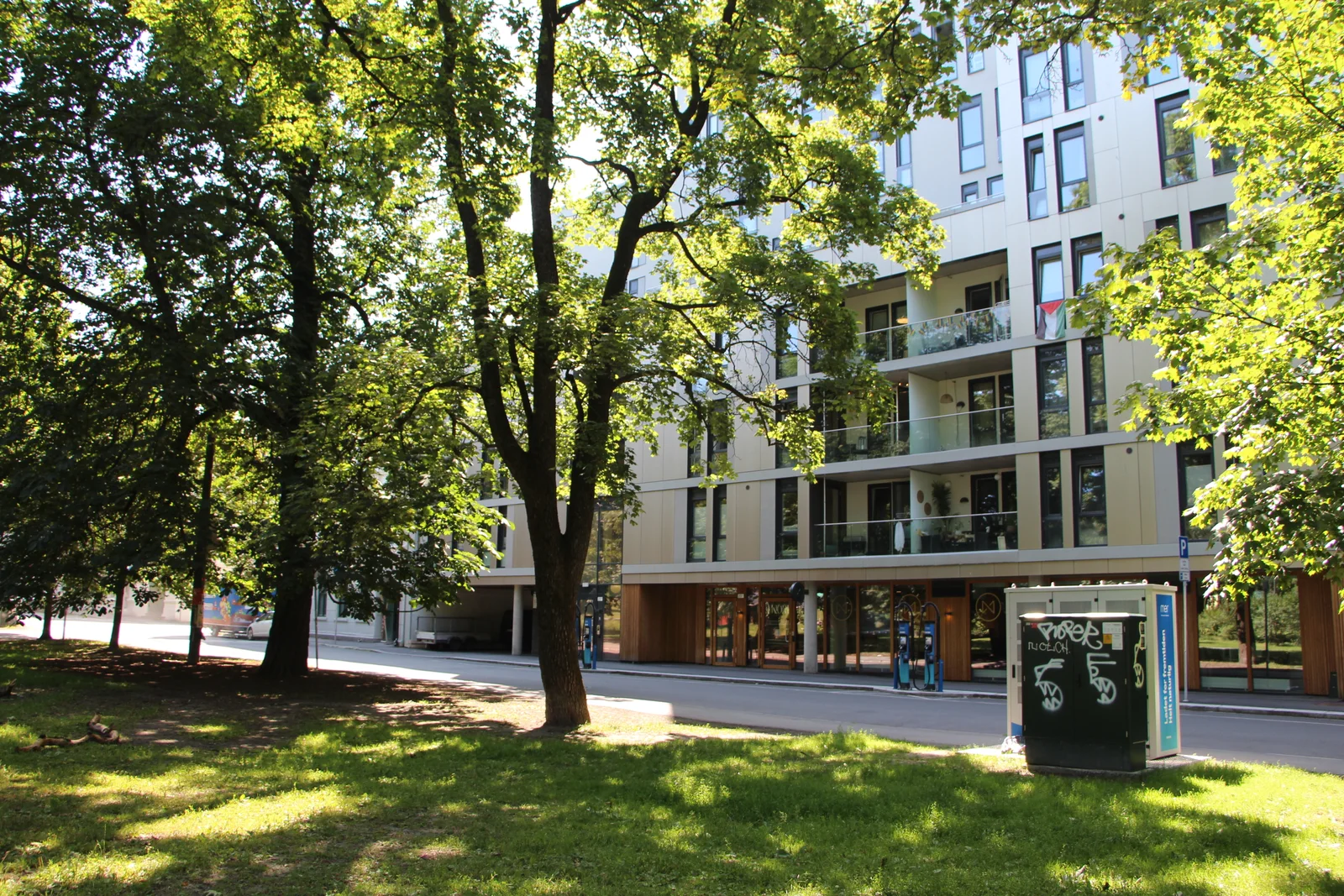 Photo 5