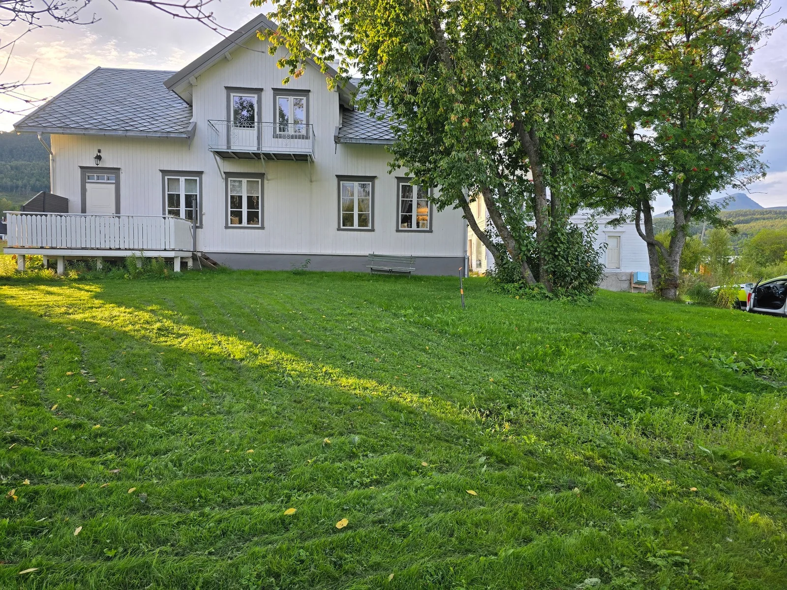 Photo 43