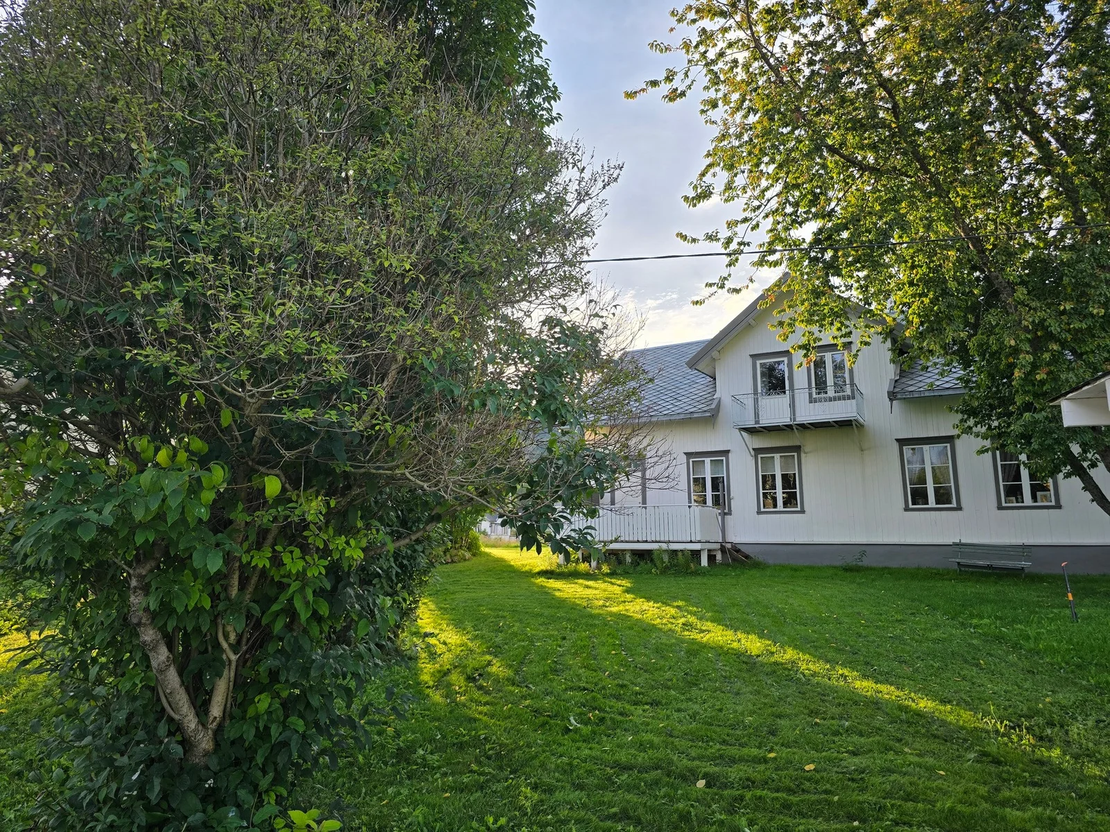 Photo 44