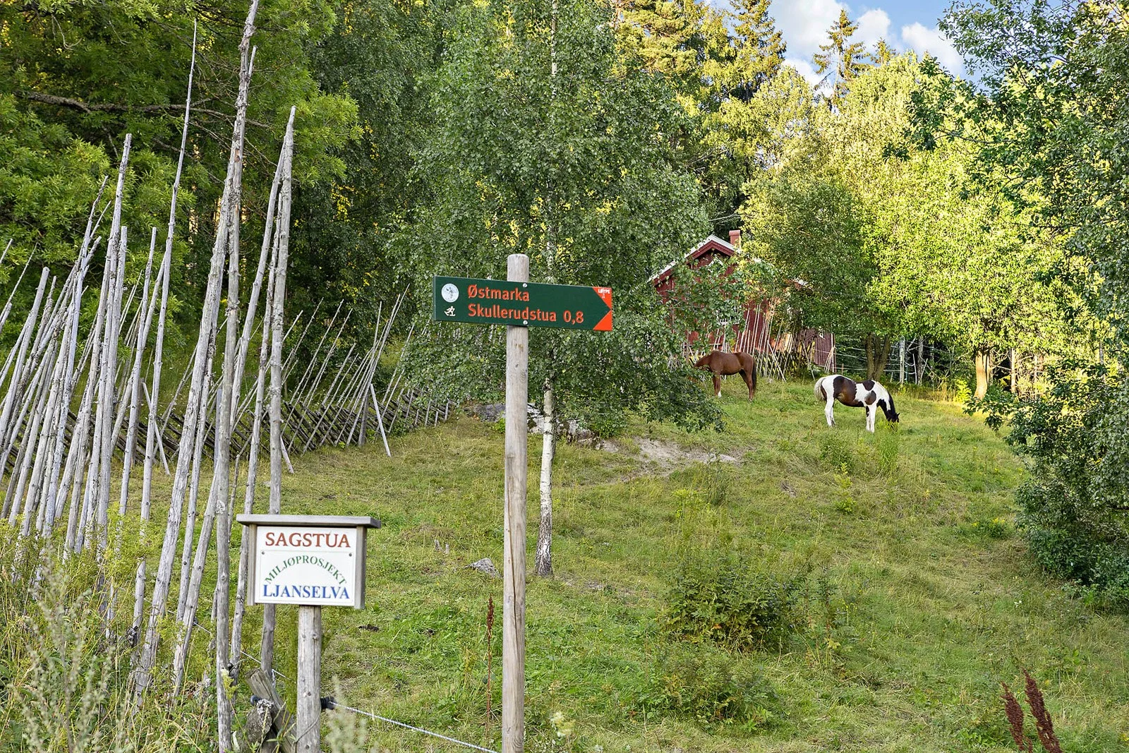 Photo 32