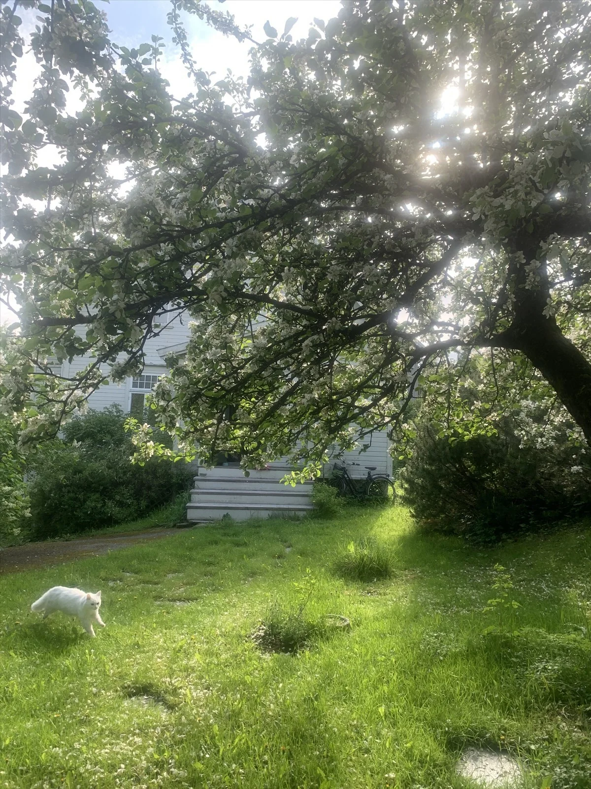 Photo 28