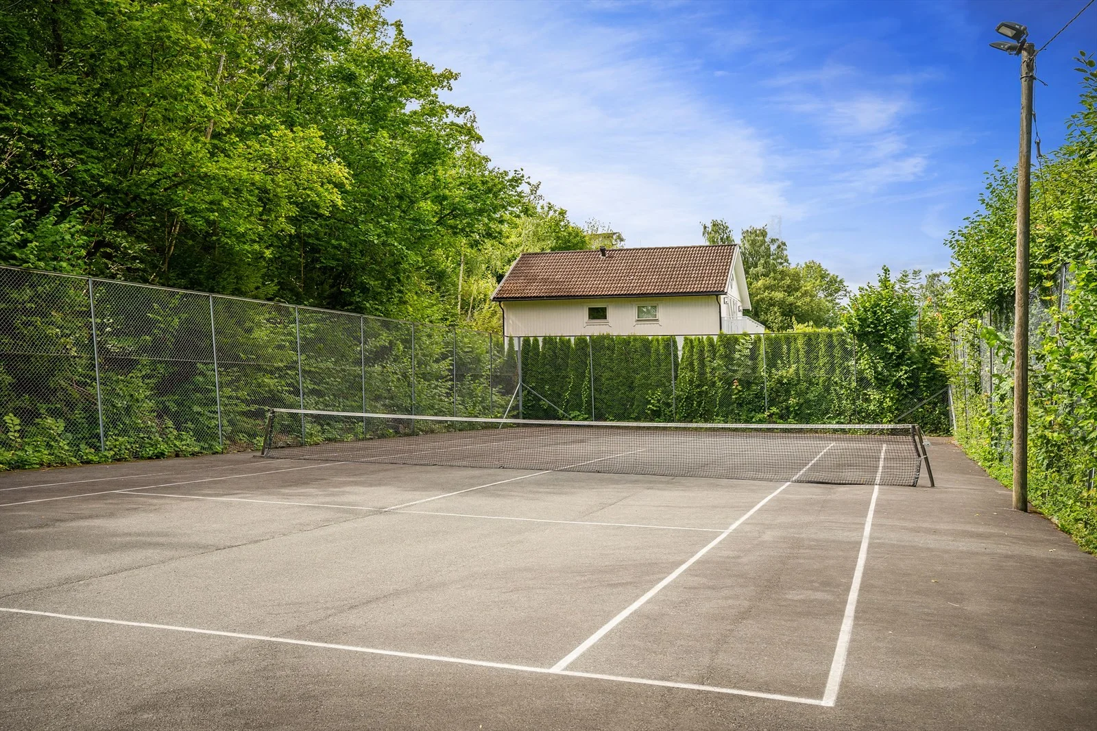 Photo 53