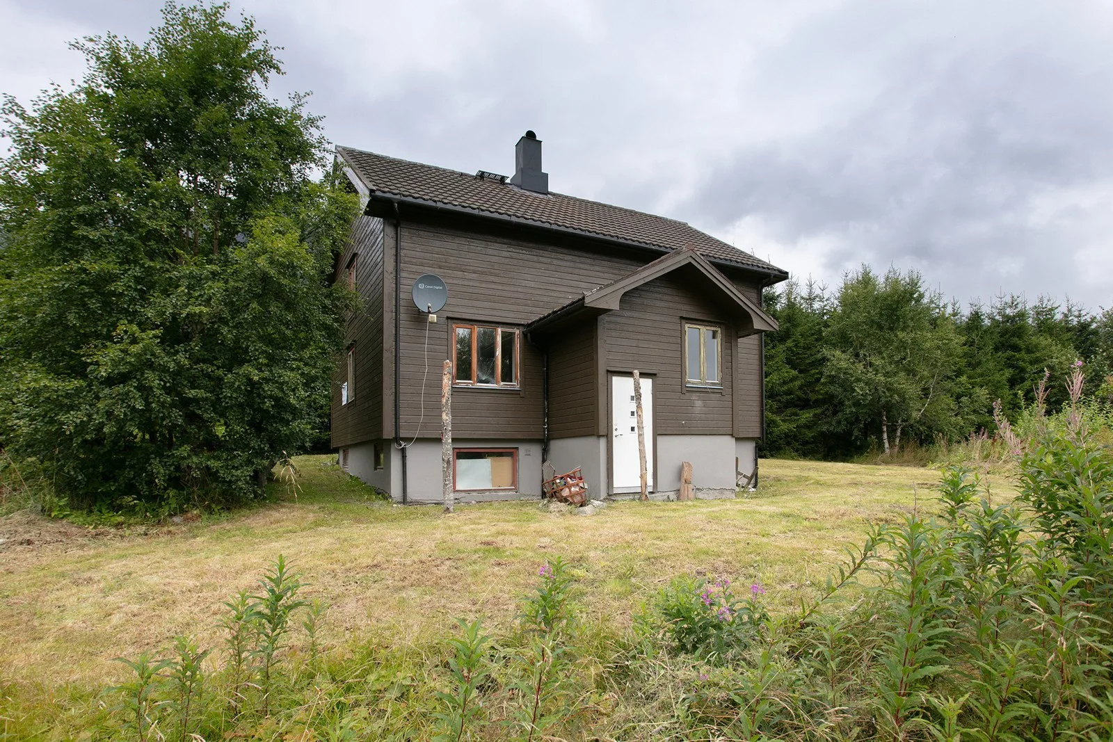 Photo 4
