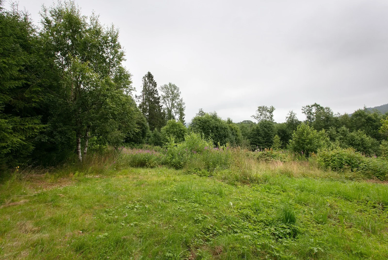 Photo 33