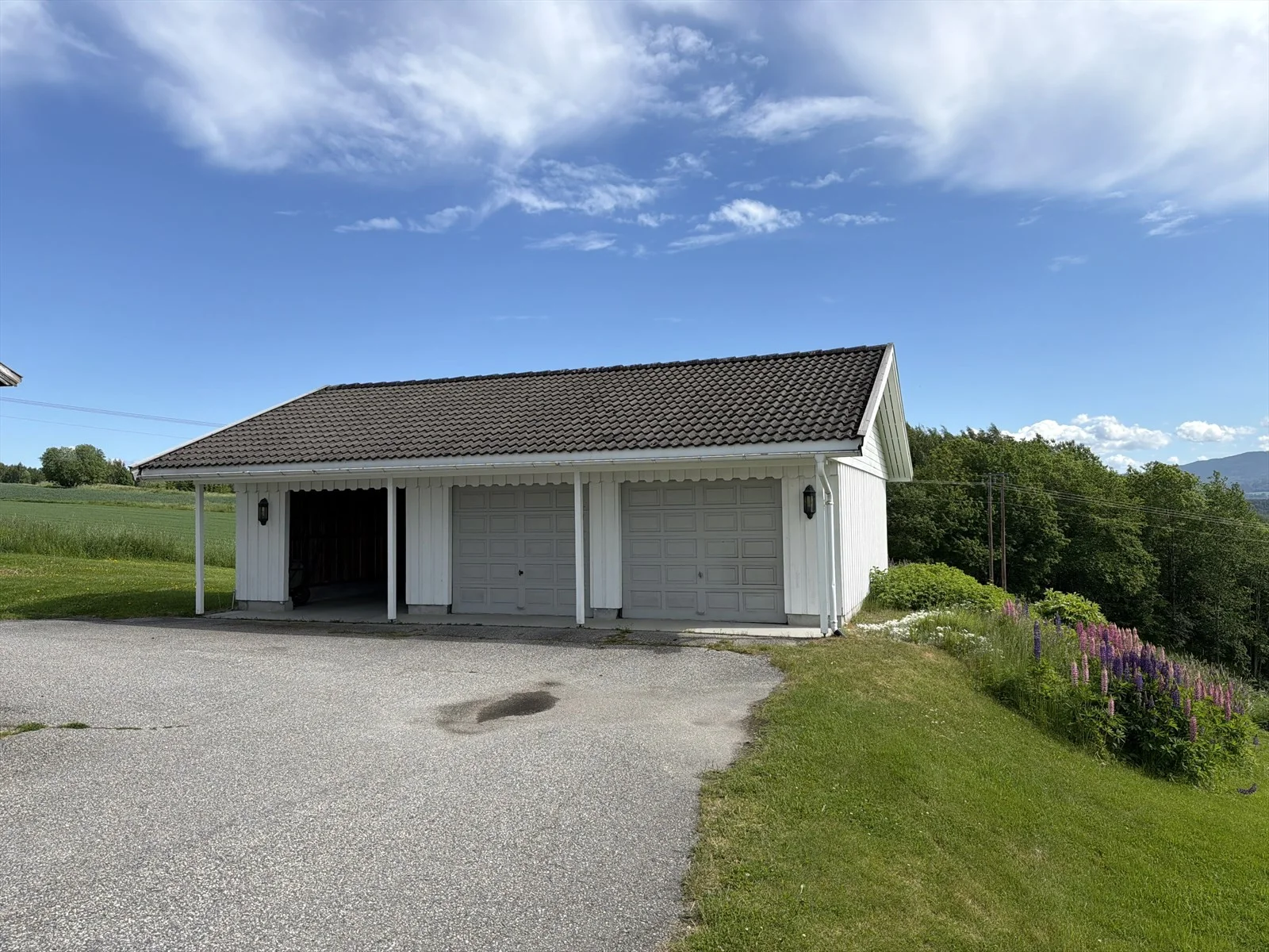 Photo 28