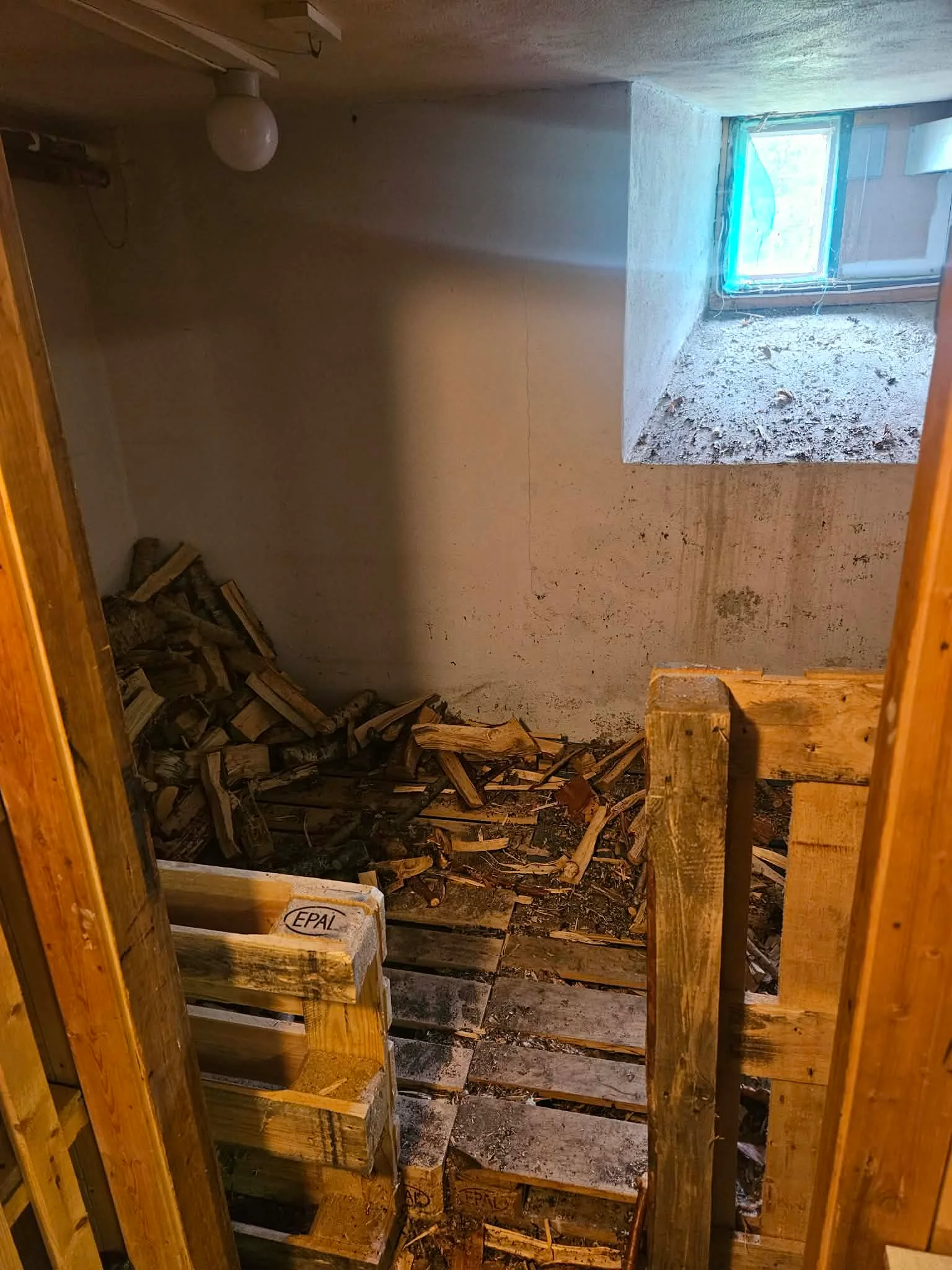 Photo 27