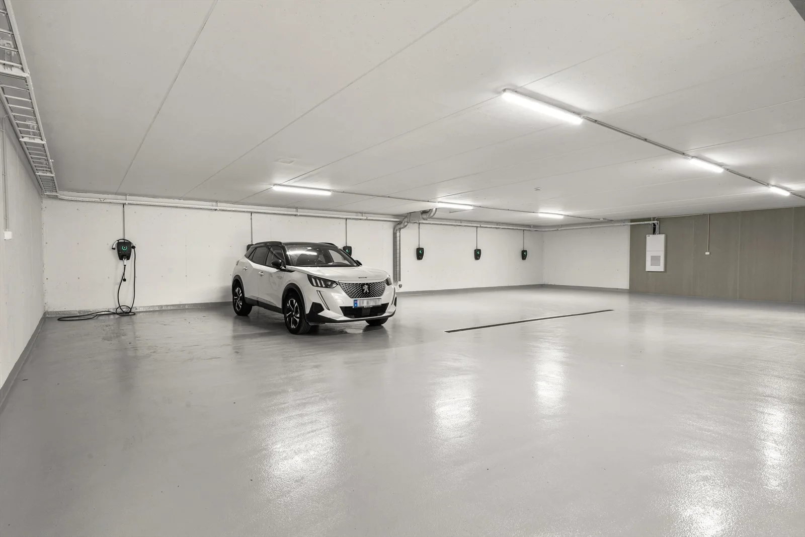 Photo 51