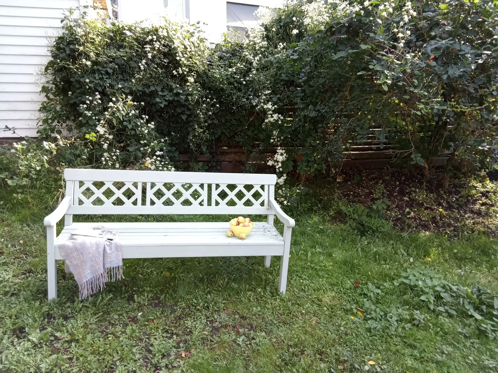 Photo 38