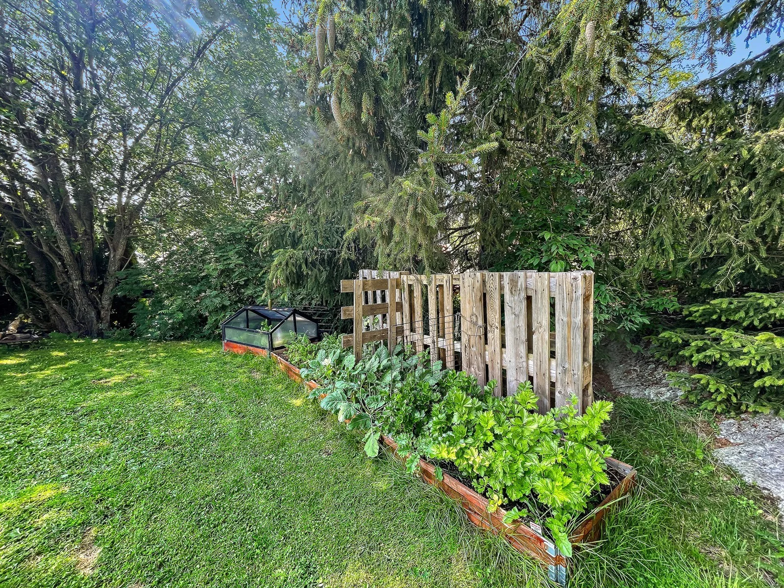 Photo 43
