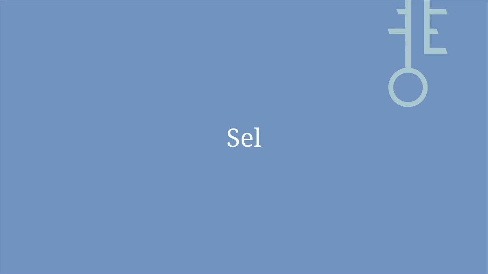 Photo 50