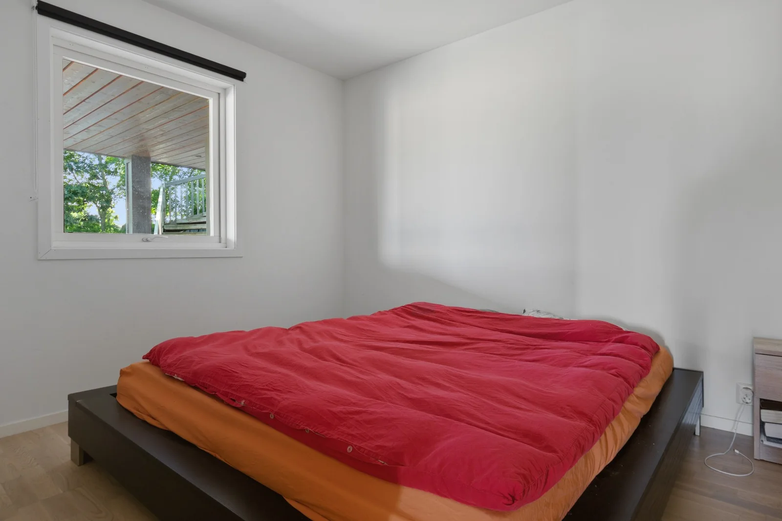Photo 55