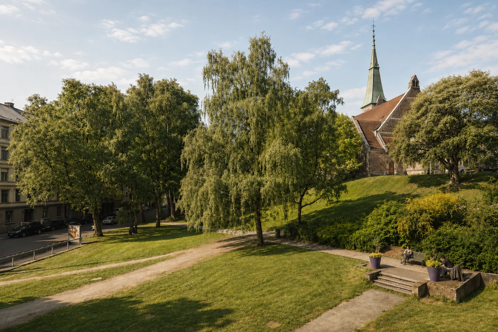 Photo 26