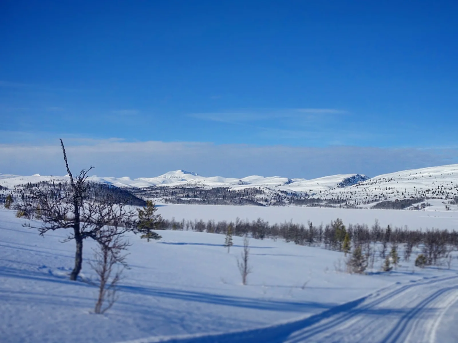 Photo 30