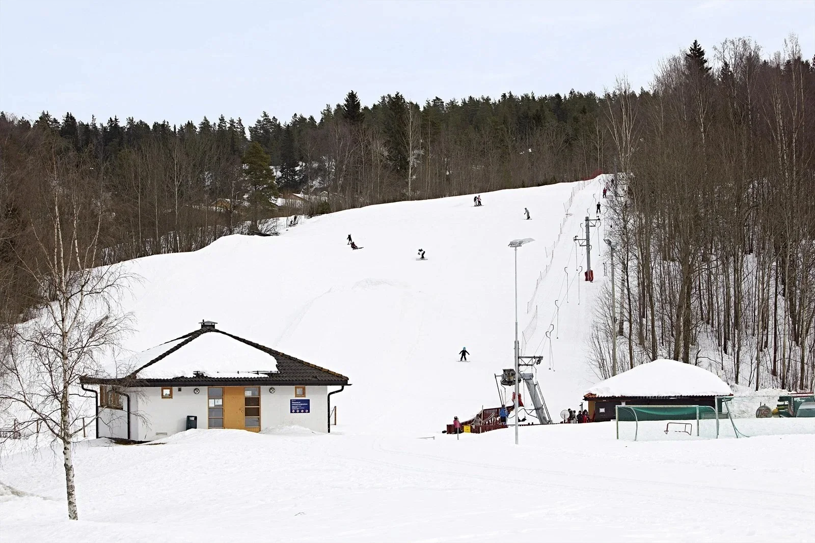 Photo 41