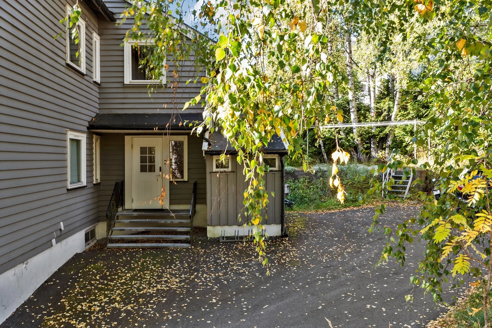 Photo 41