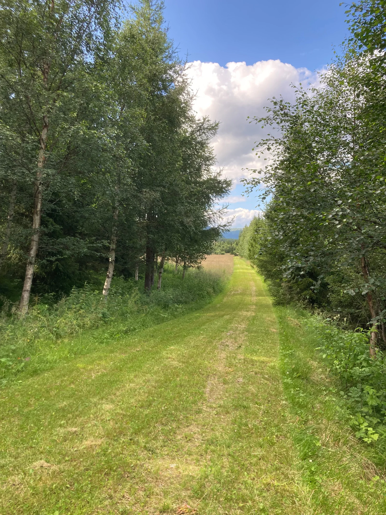 Photo 24