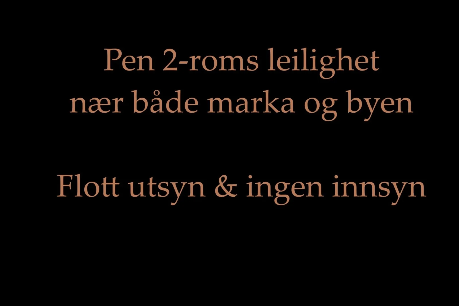 Photo 3
