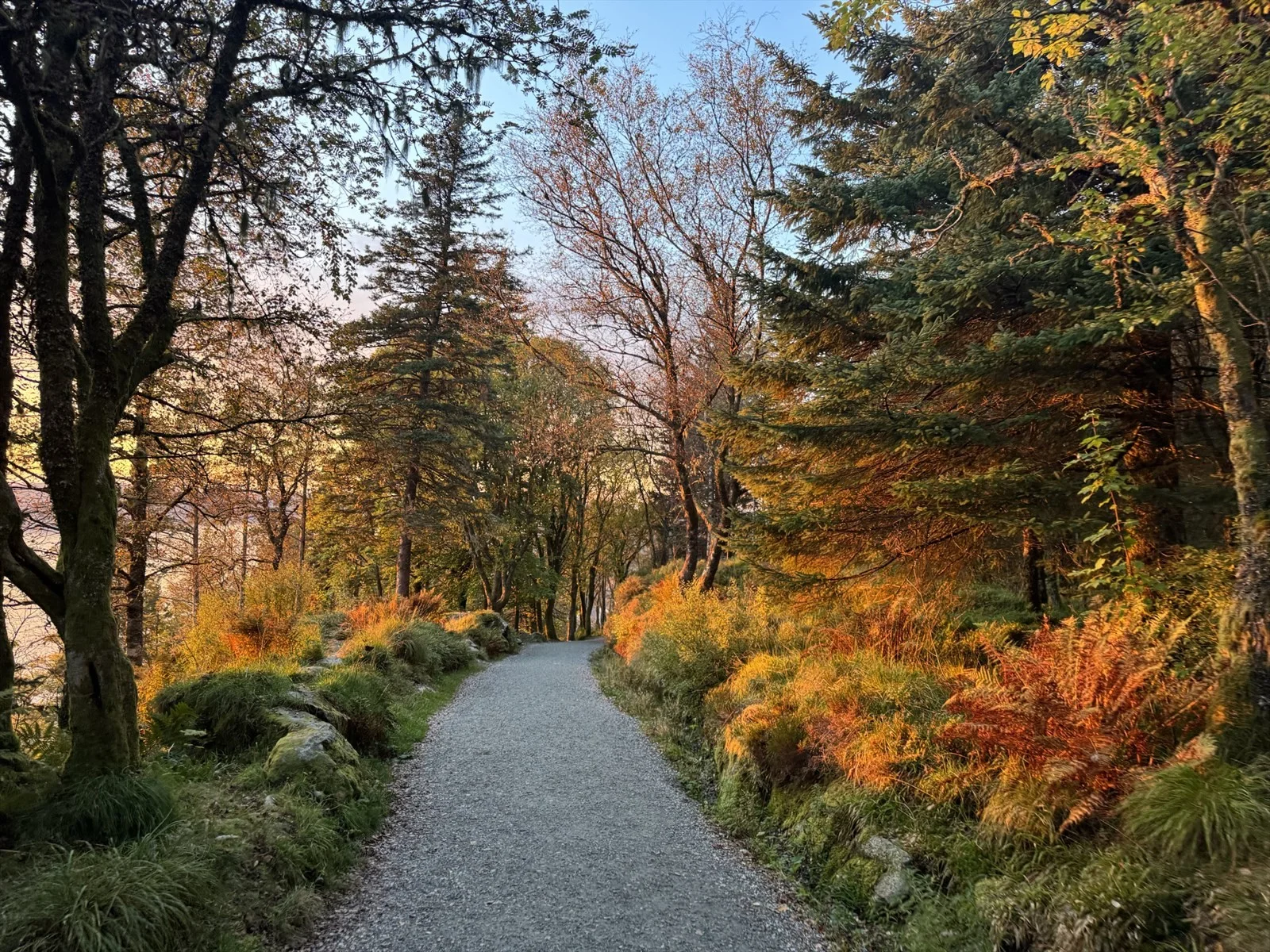 Photo 35