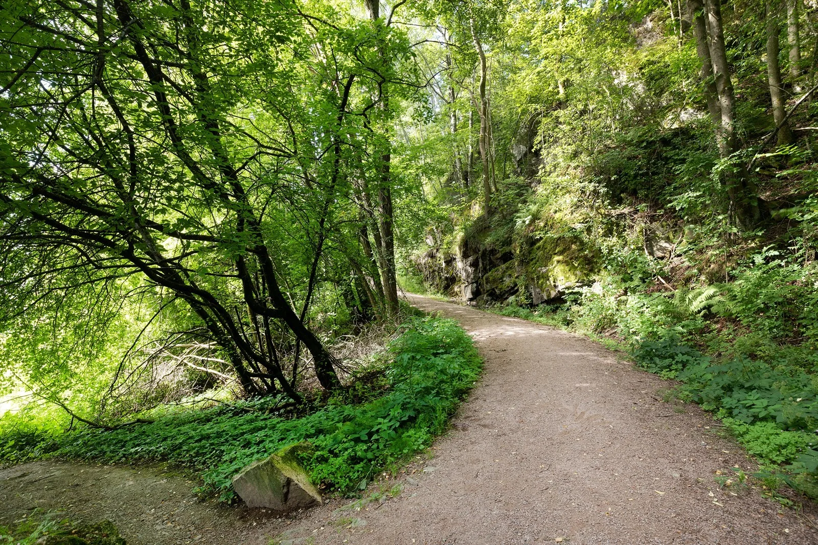 Photo 39
