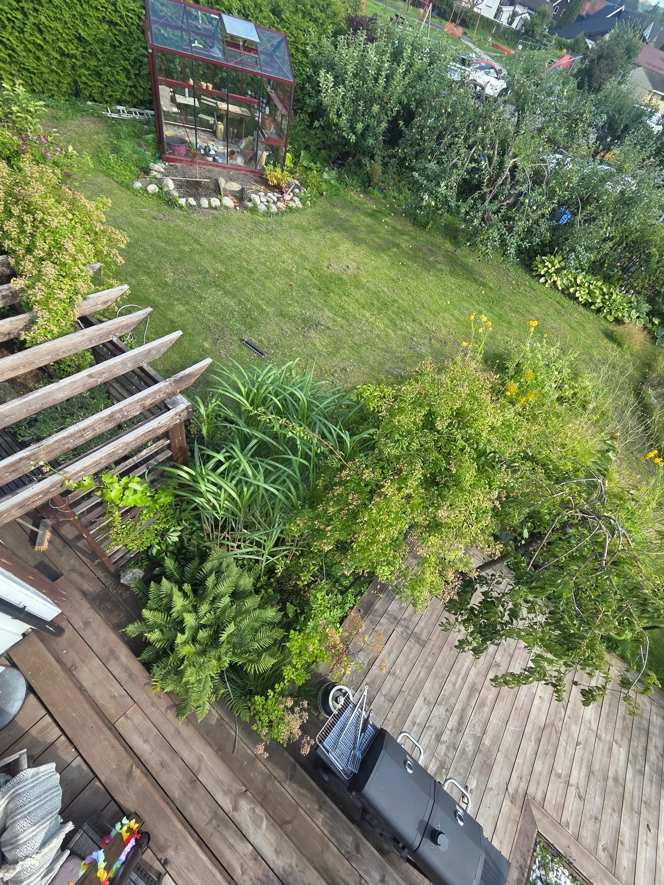 Photo 46