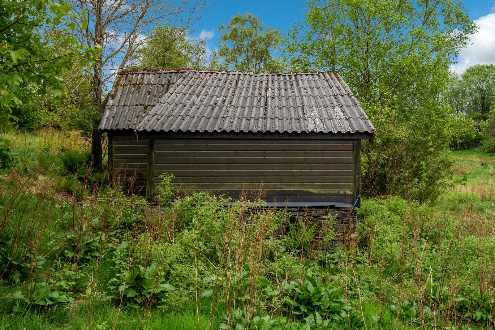 Photo 16