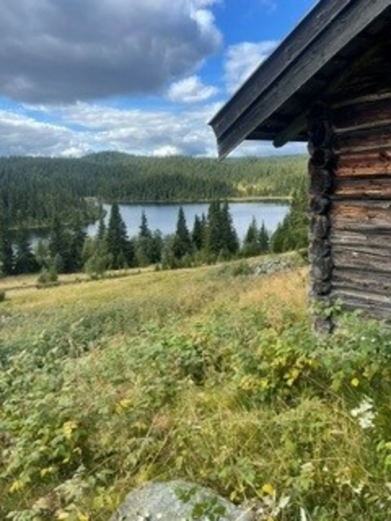 Photo 5