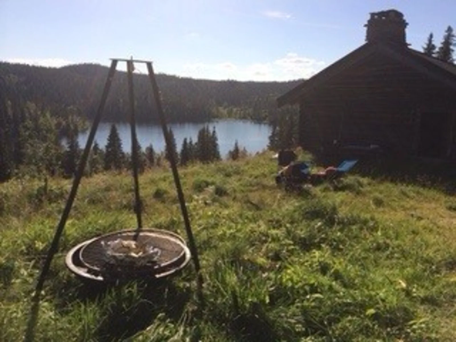 Photo 7