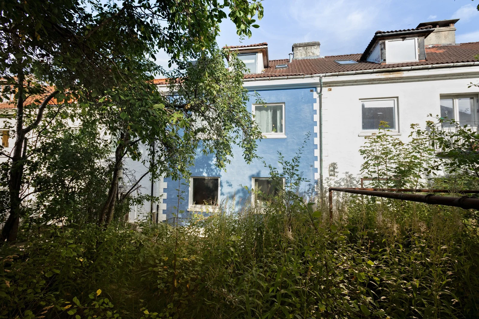 Photo 44