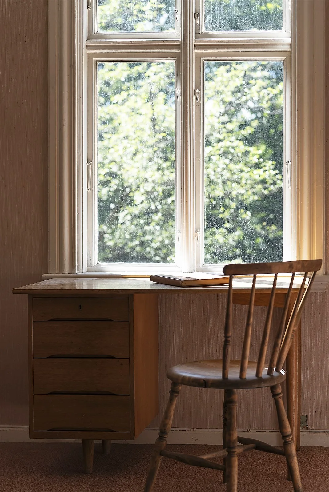 Photo 24