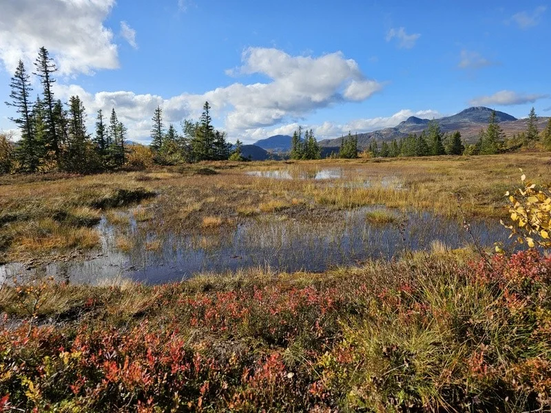 Photo 45