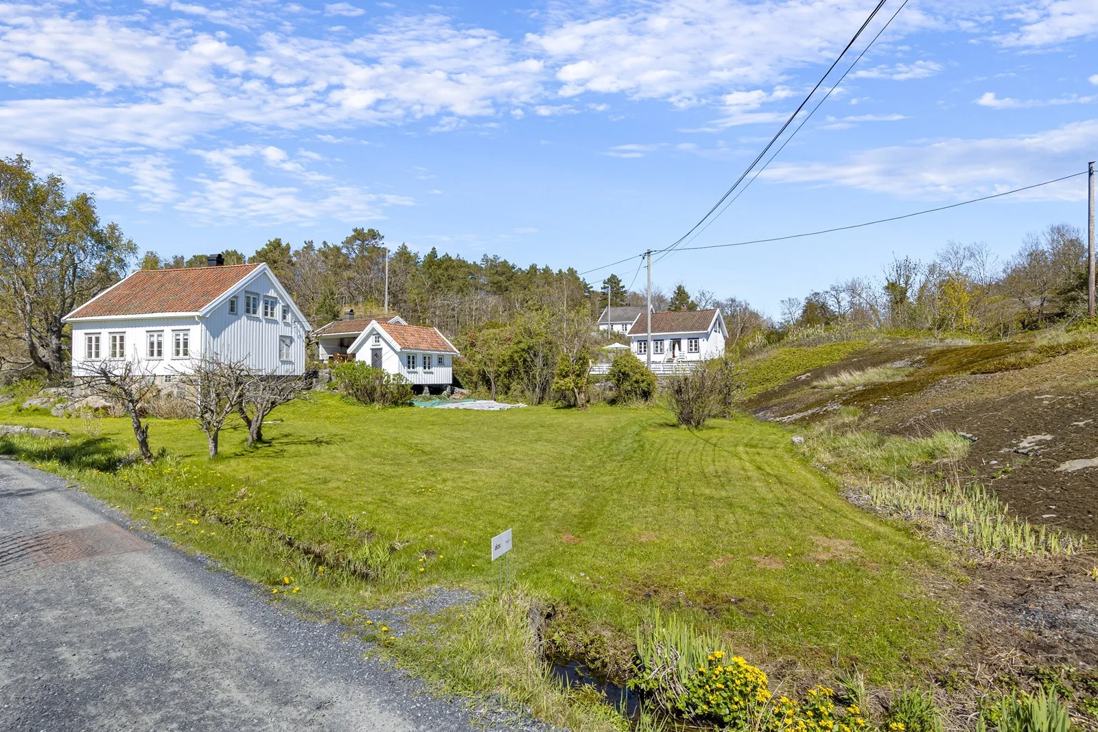 Photo 43