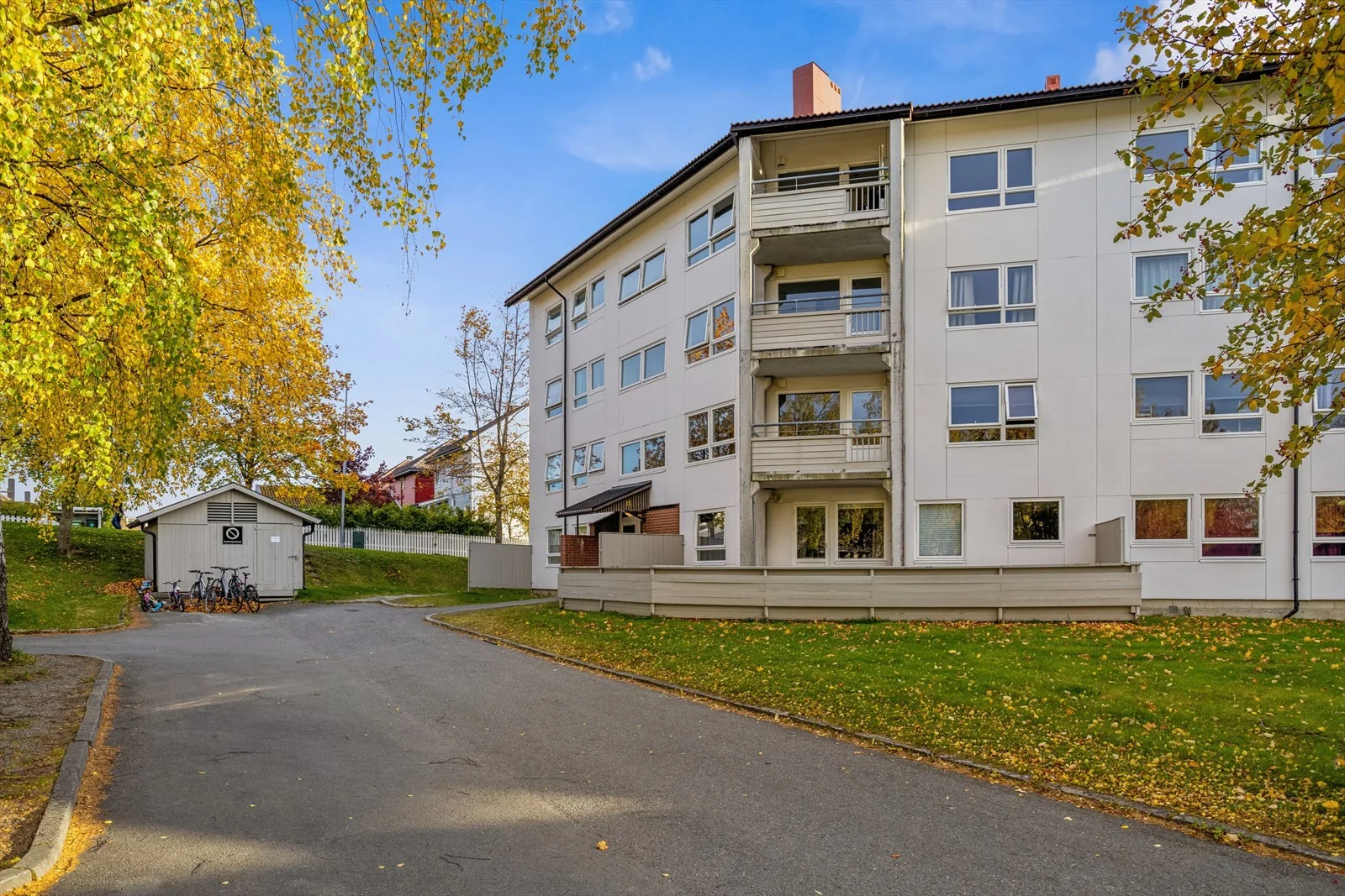 Photo 23