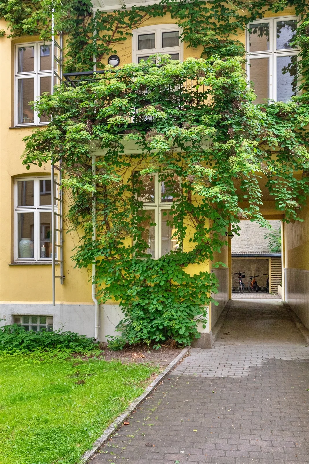 Photo 42