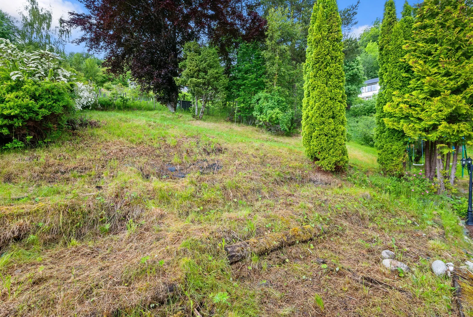 Photo 35