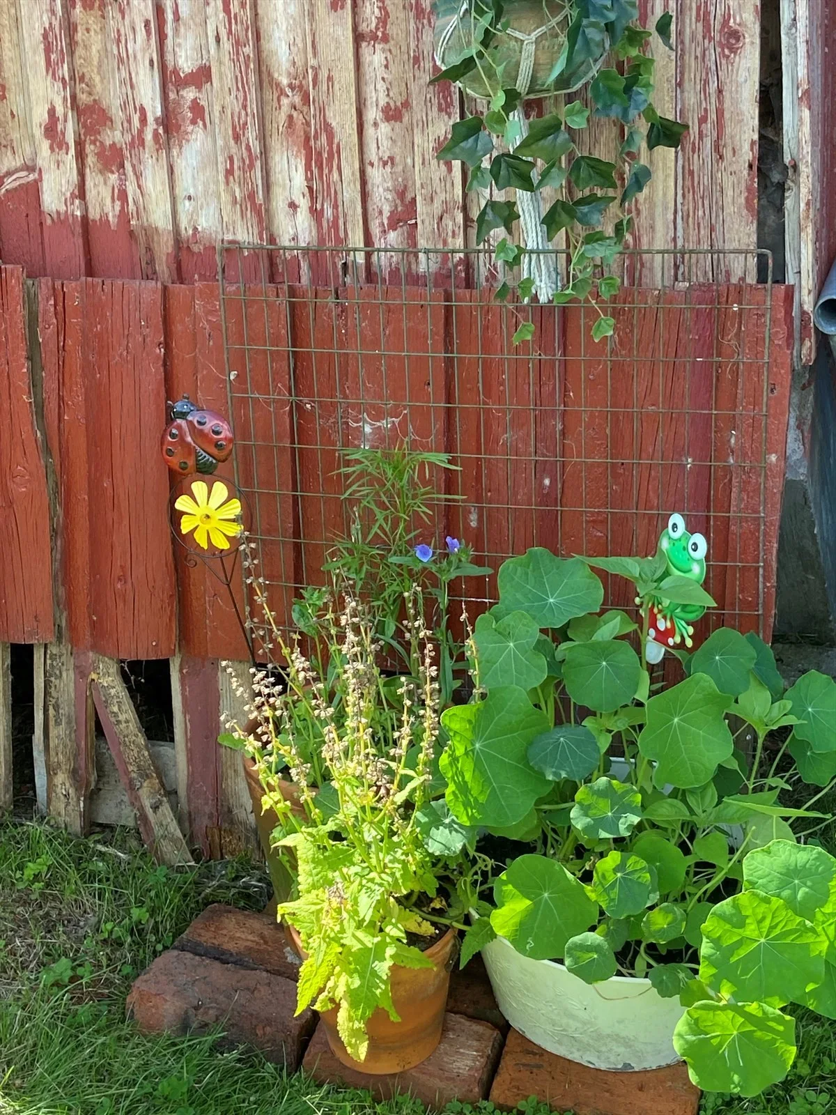 Photo 48
