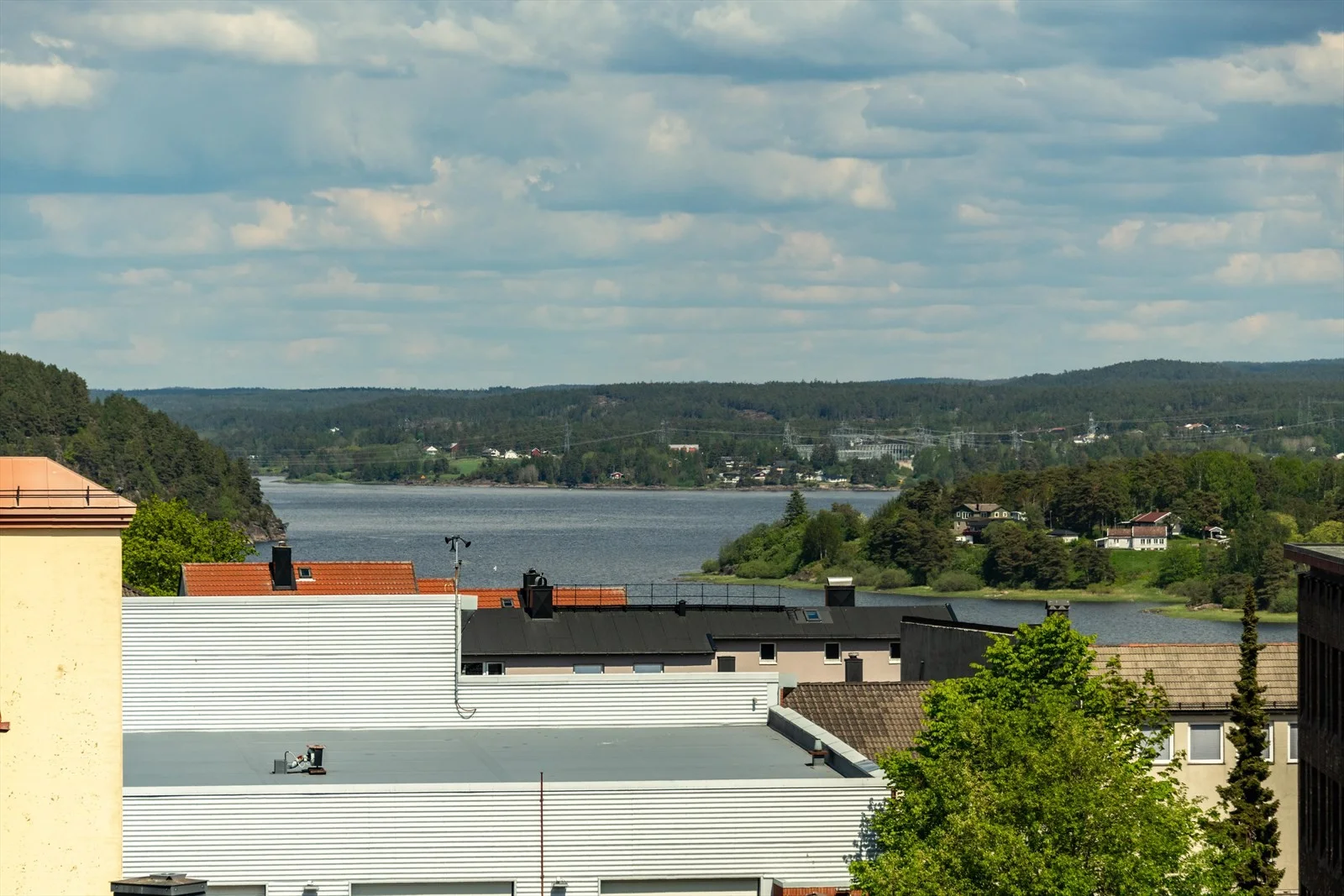 Photo 42
