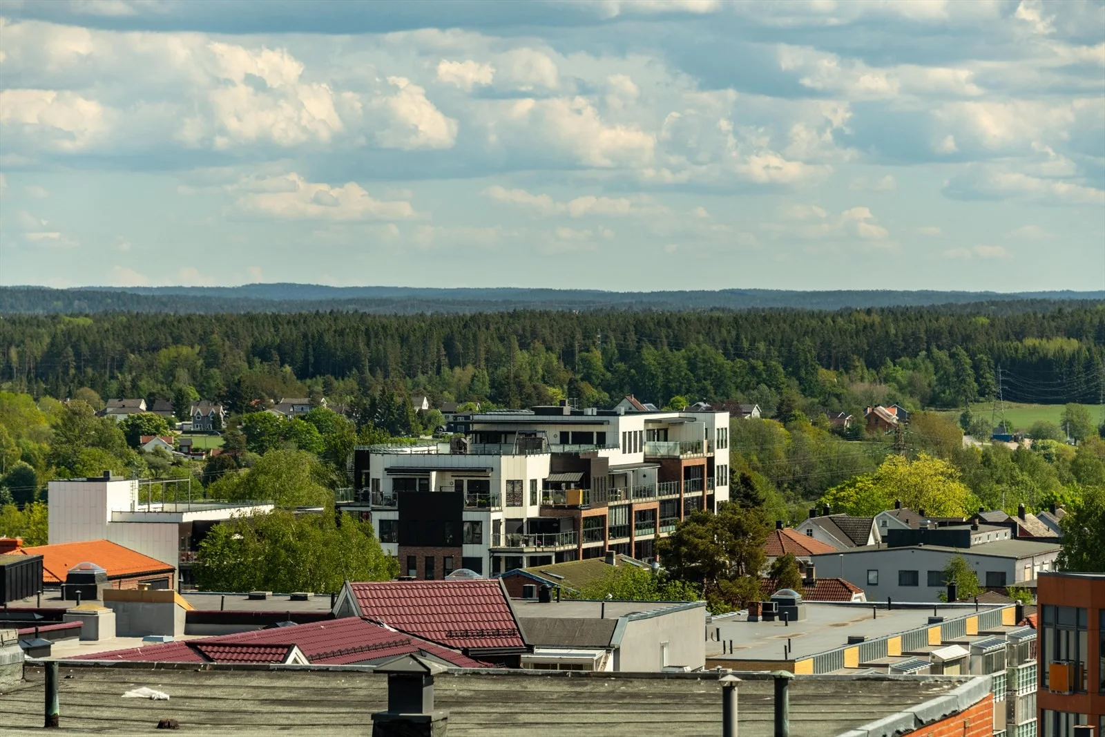 Photo 43
