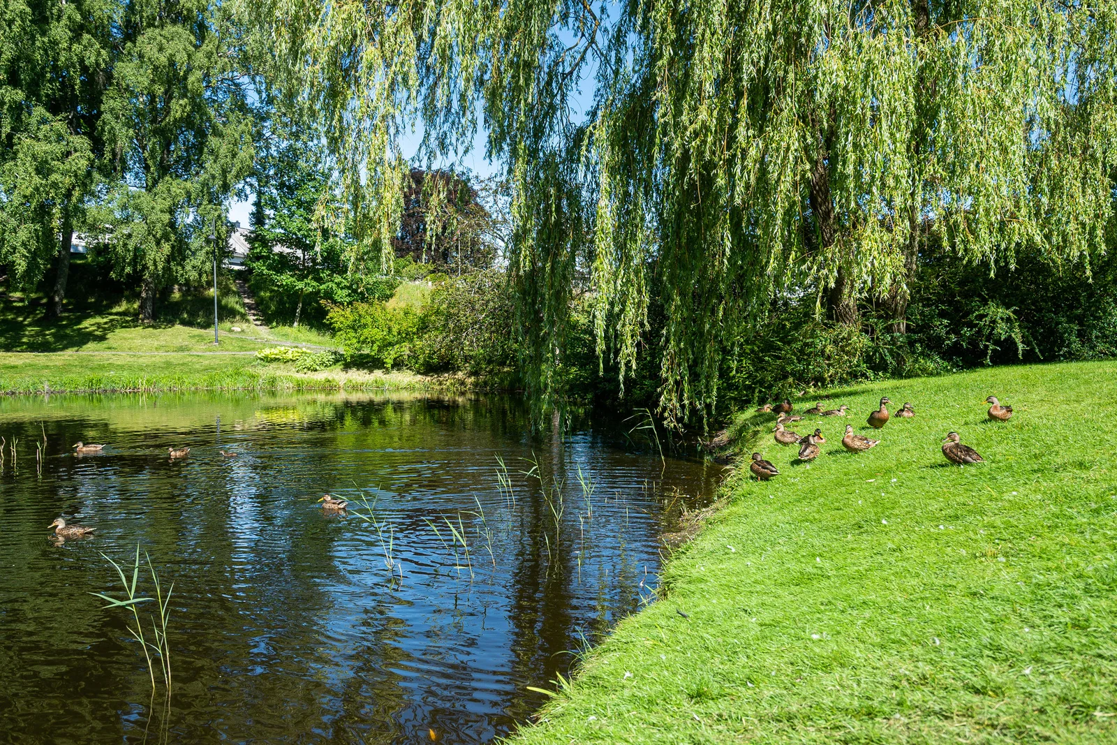 Photo 13