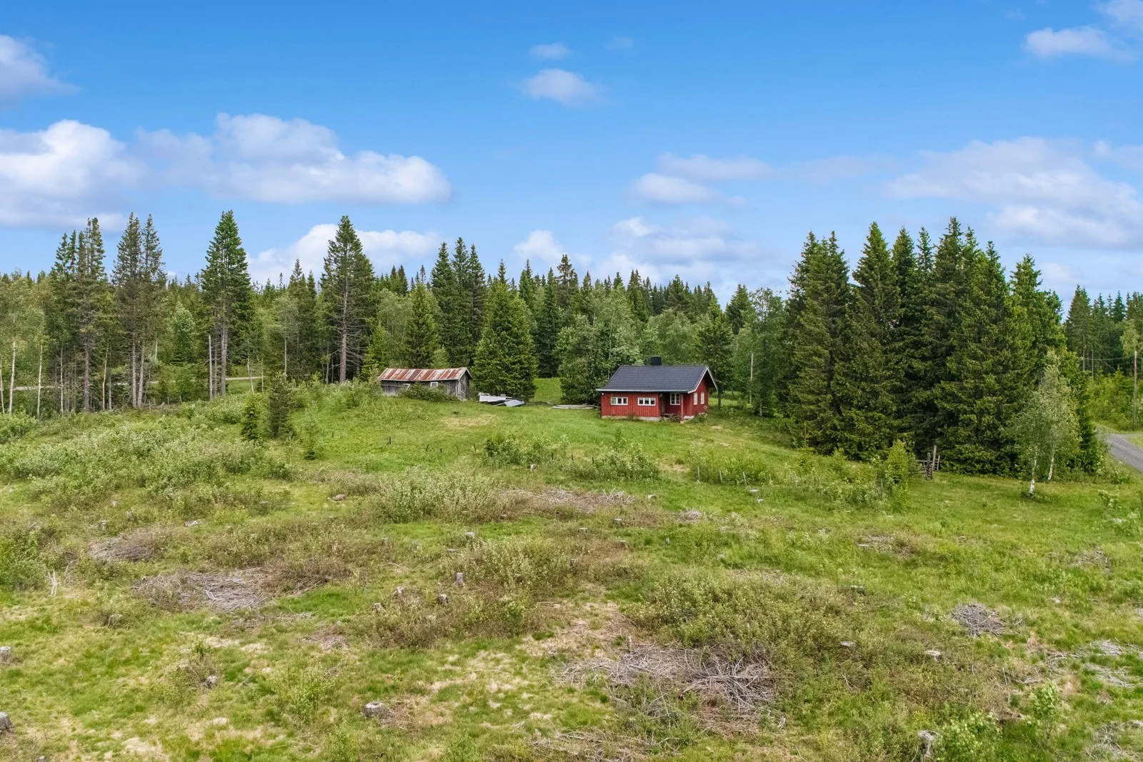 Photo 25