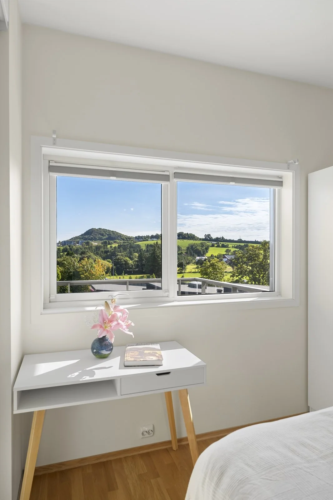 Photo 24