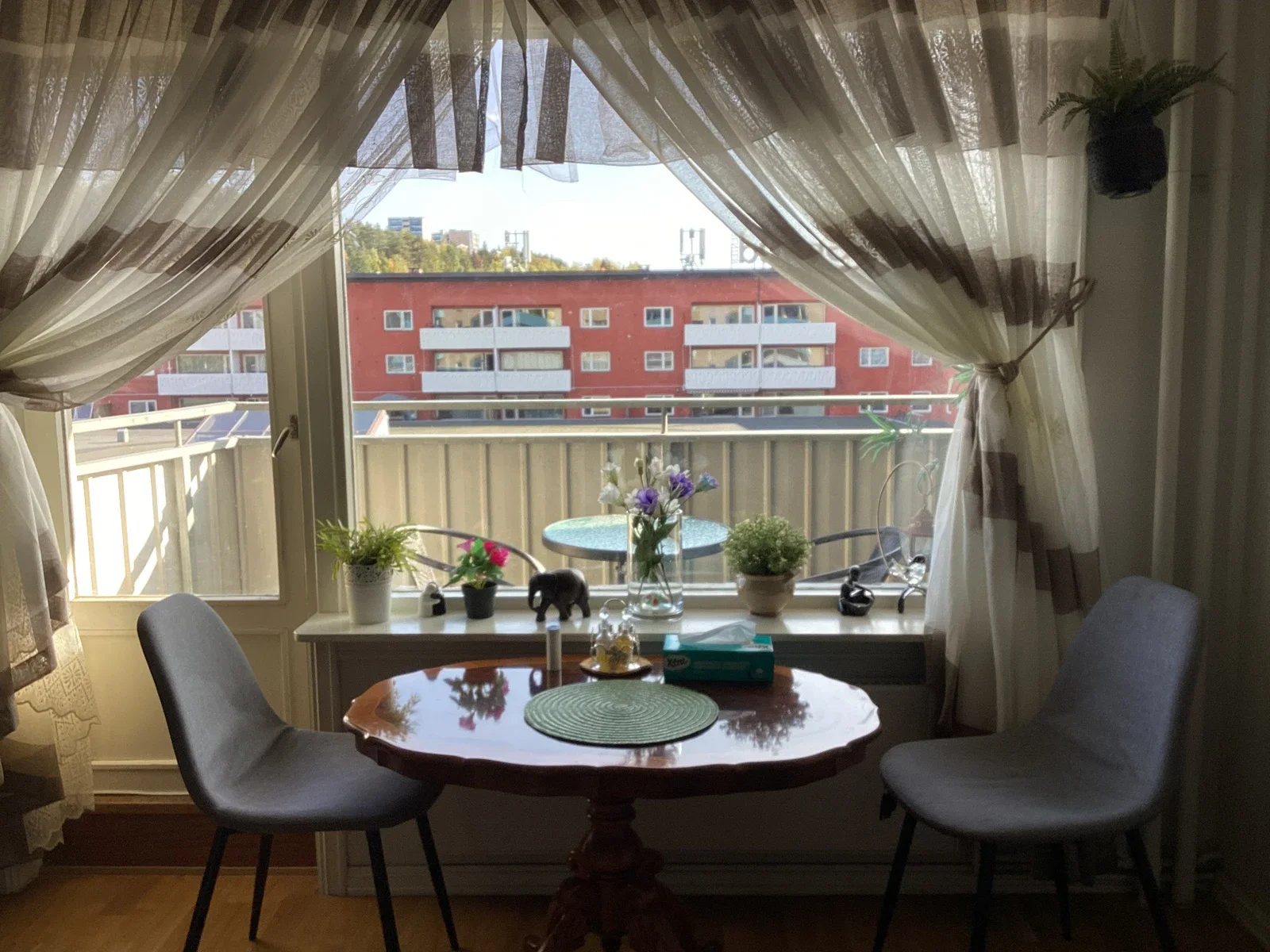 Photo 5