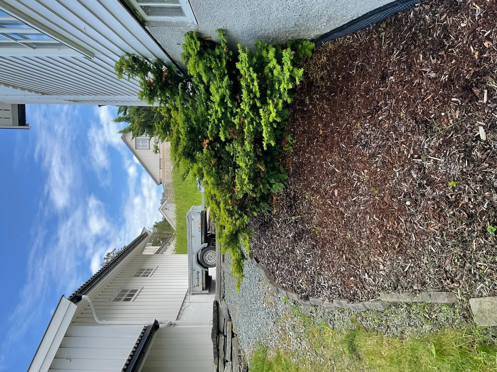 Photo 44