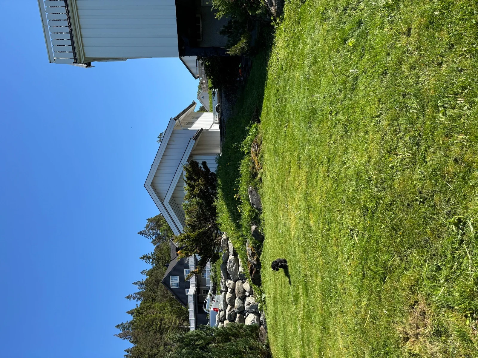 Photo 48