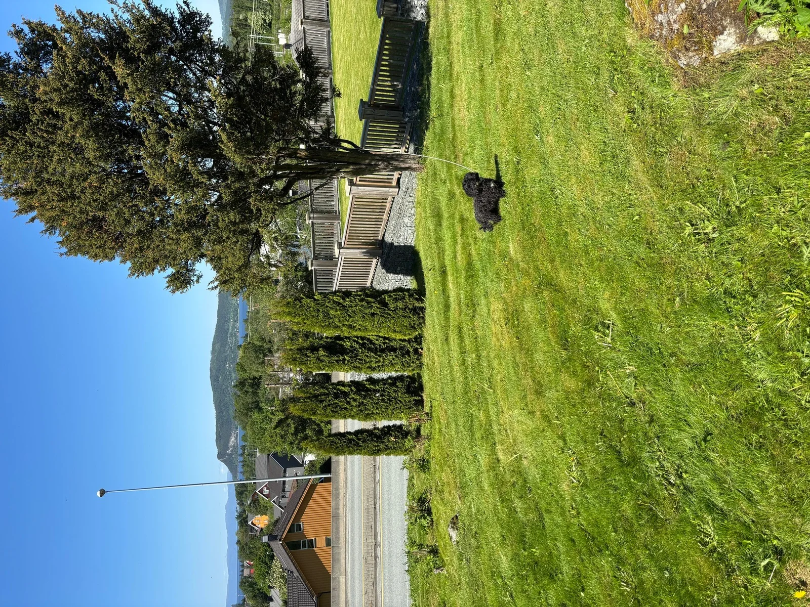 Photo 49