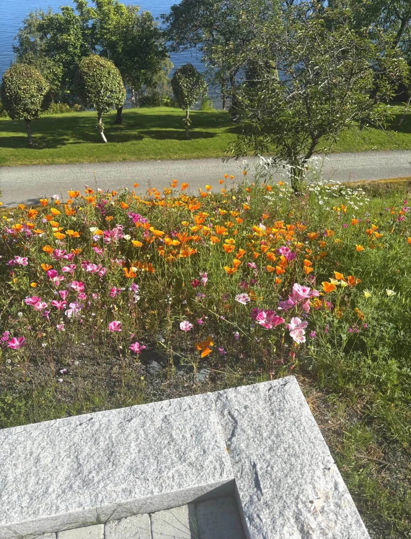 Photo 33