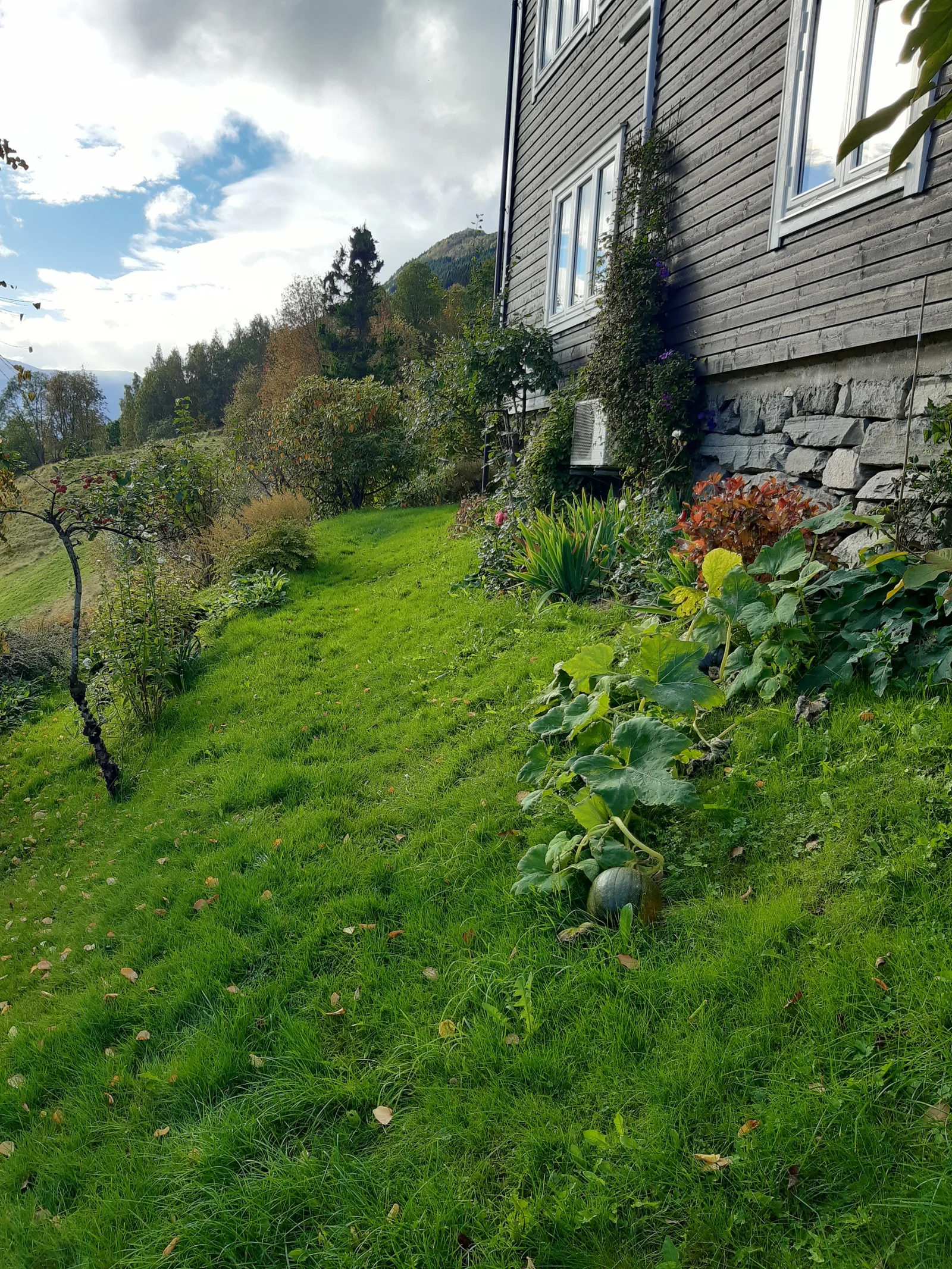 Photo 6
