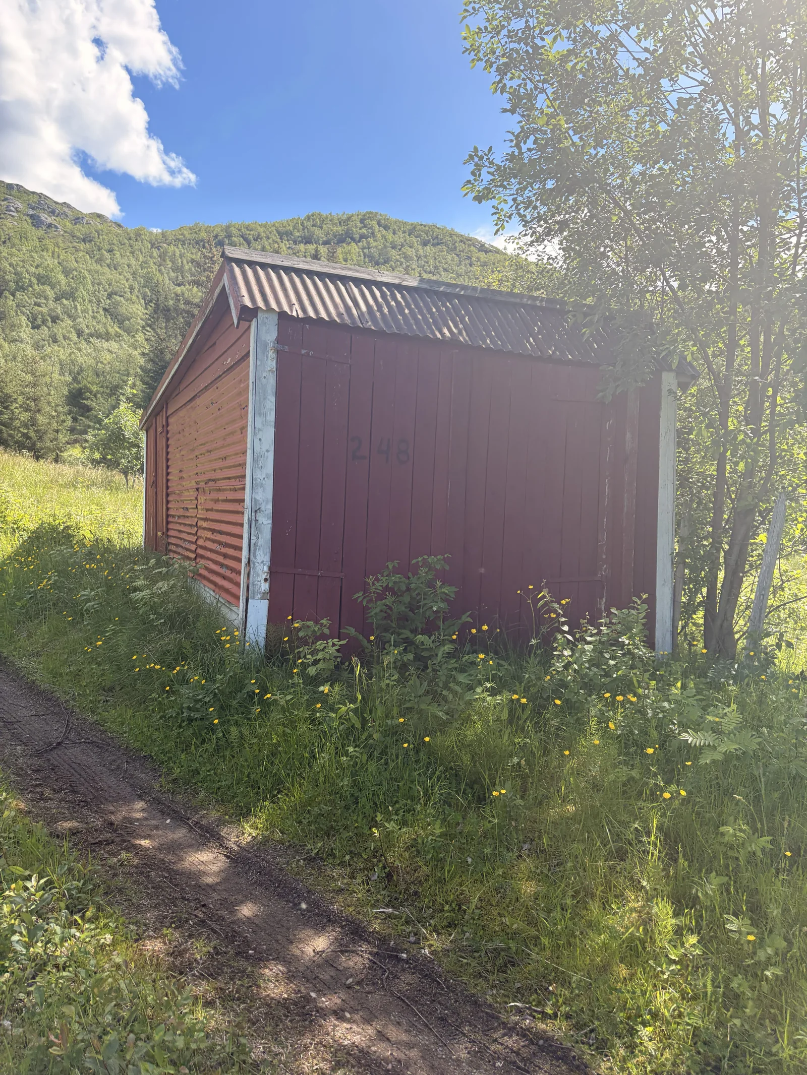 Photo 18