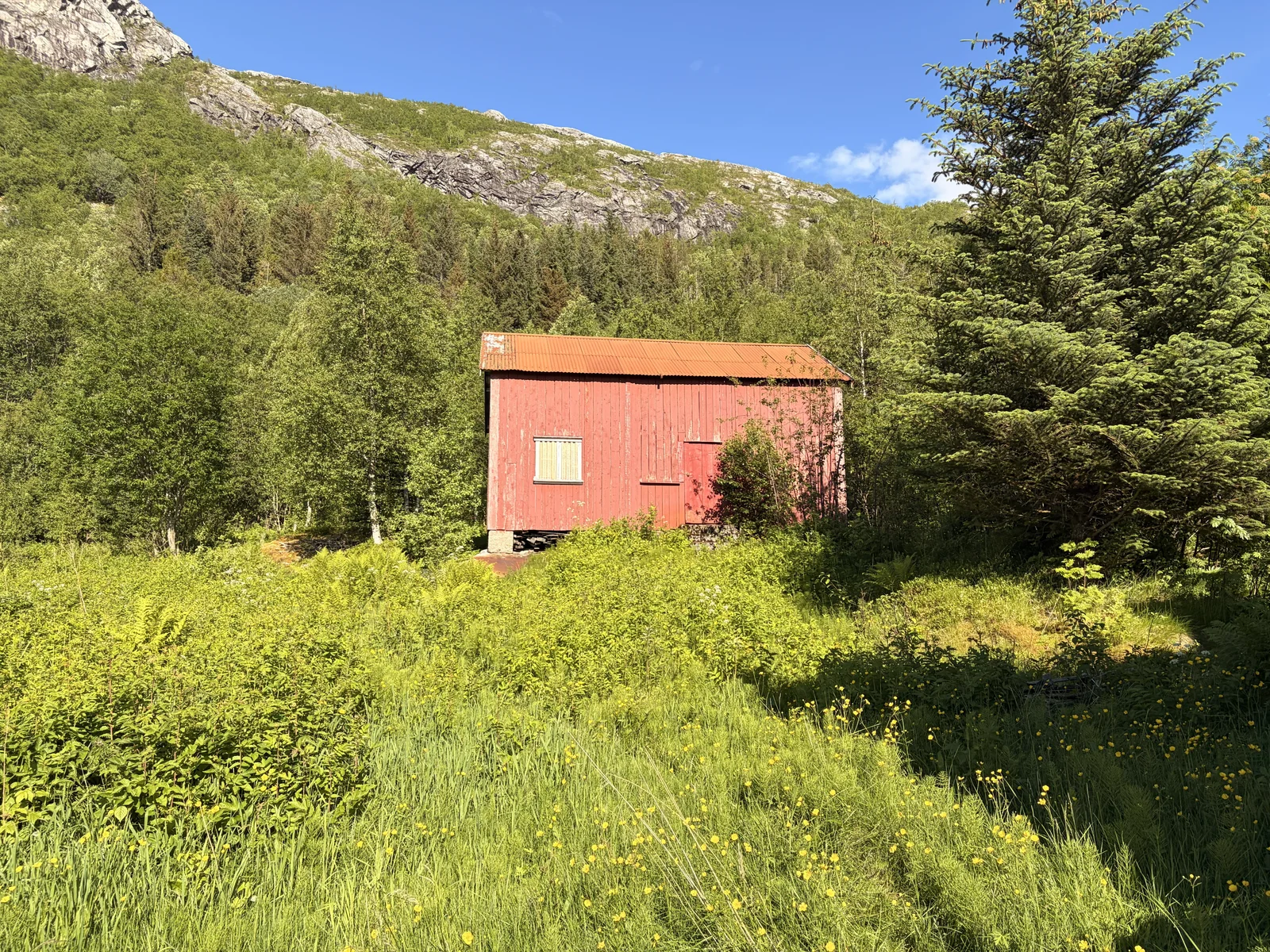 Photo 20
