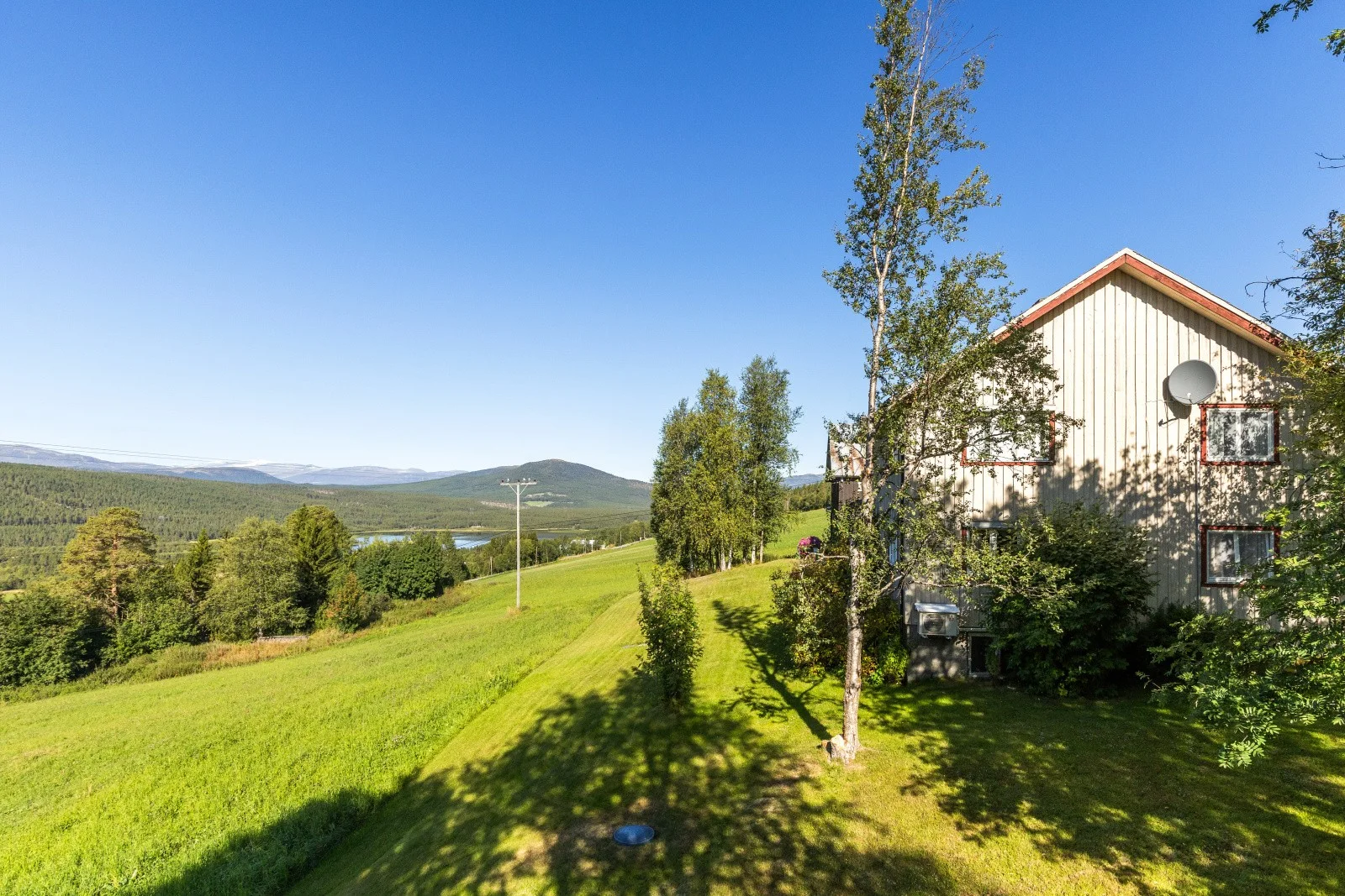 Photo 43