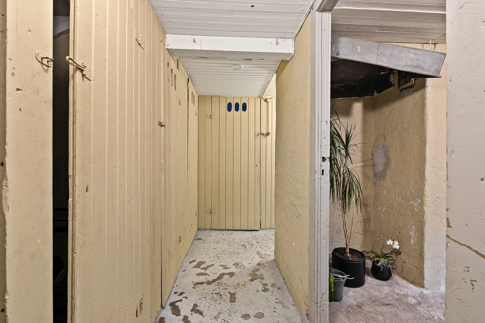 Photo 42